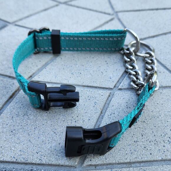 Max and Neo Stainless Steel Chain Reflective Nylon Martingale Collar - Picture 4 of 9